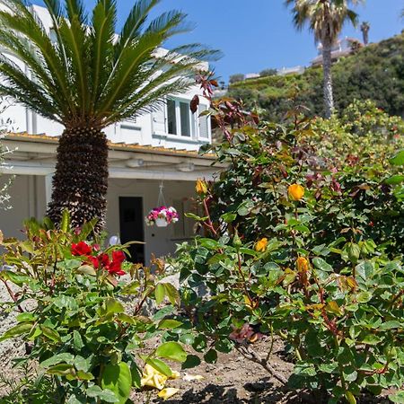 Villa Al Mare - Famiglia Calise Forio di Ischia Buitenkant foto